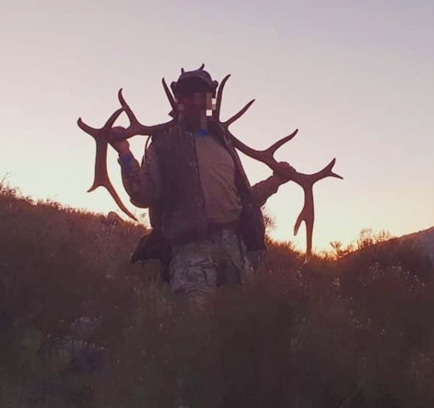 Ciervo Colorado en La Pampa (Quehué - Acha)